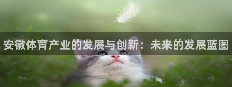 意昂体育4平台注册流程图：安徽体育产业的发展与创新：未来的发