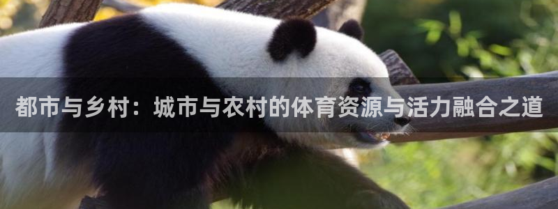 意昂体育4平台注册流程视频：都市与乡村：城市与农村的