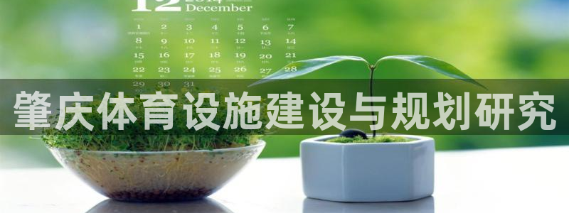 意昂体育4招商电话是多少：肇庆体育设施建设与规划研究
