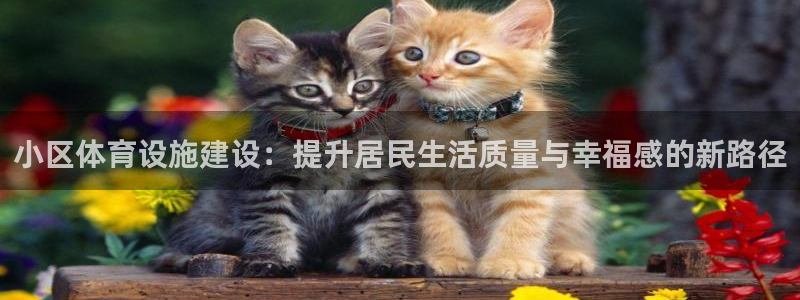 意昂体育4平台APP：小区体育设施建设：提升居民生活