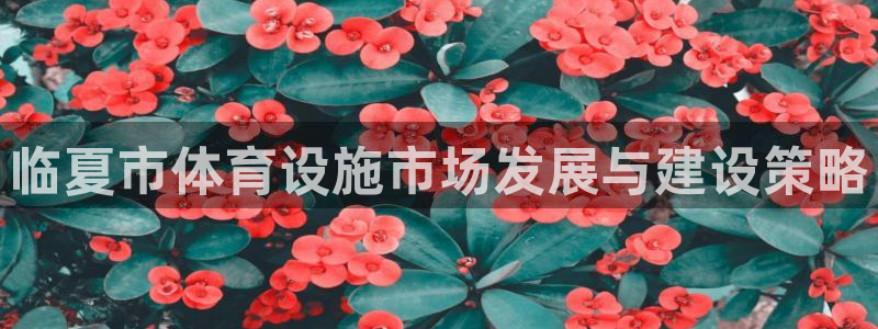 意昂平台体育：临夏市体育设施市场发展与建设策略