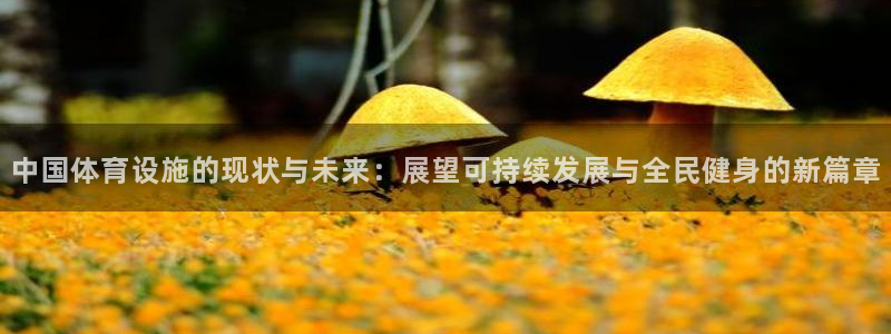 意昂平台体育：中国体育设施的现状与未来：展望可持续发