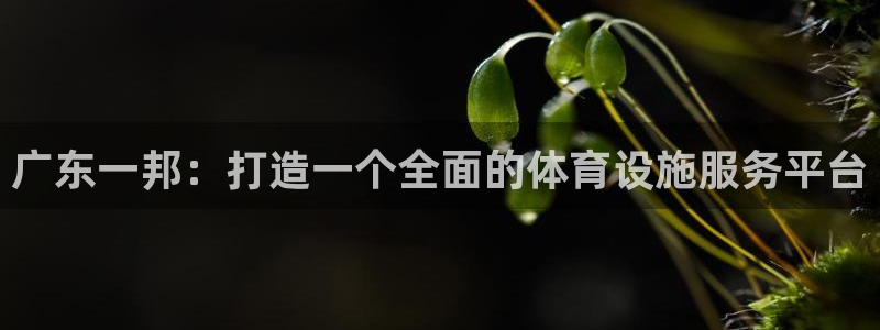 意昂体育4招商电话是多少啊：广东一邦：打造一个全面的