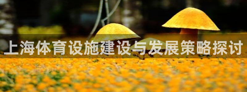 意昂4集团logo：上海体育设施建设与发展策略探讨