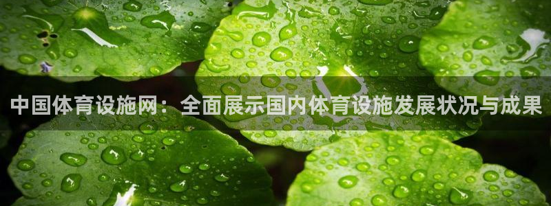 意昂体育4平台是正规平台吗知乎：中国体育设施网：全面