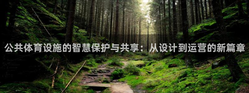海南意昂体育4：公共体育设施的智慧保护与共享：从设计