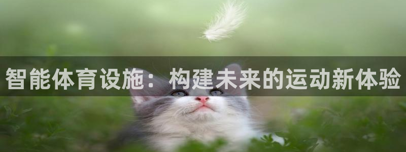 意昂体育4平台假的吗是真的吗：智能体育设施：构建未来