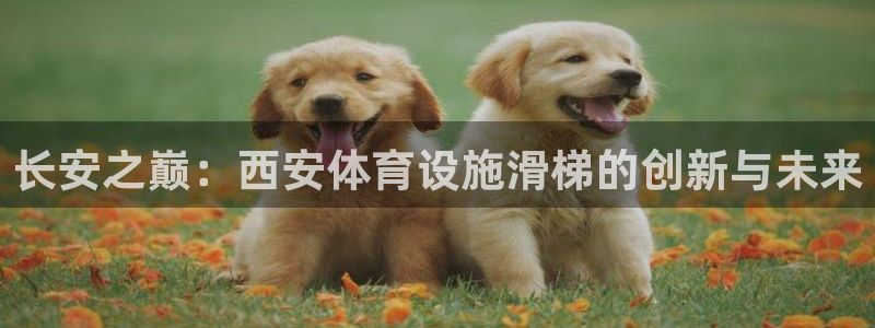 意昂体育4平台是正规平台吗：长安之巅：西安体育设施滑