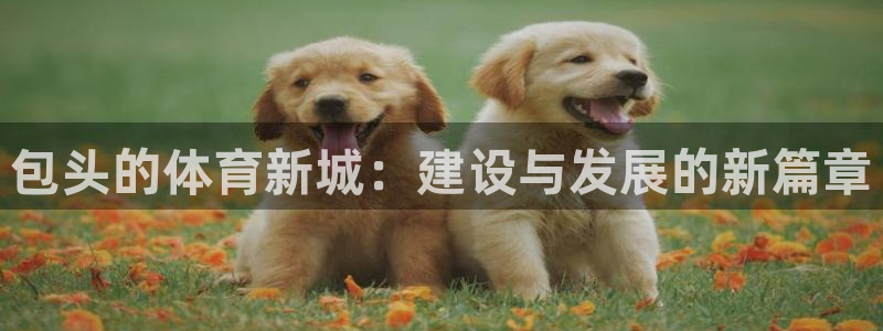 意昂4娱乐：包头的体育新城：建设与发展的新篇章