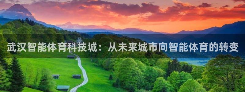 意昂4娱乐40996：武汉智能体育科技城：从未来城市