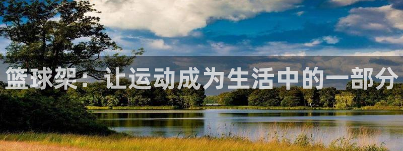 意昂4集团简介：篮球架：让运动成为生活中的一部分
