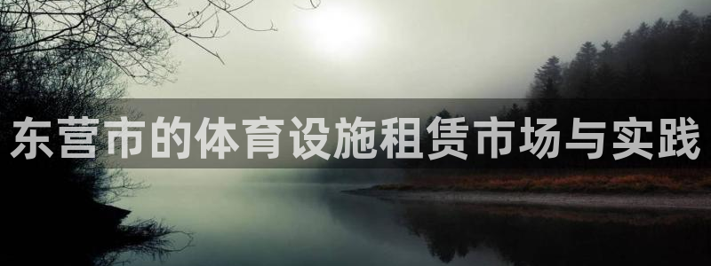 意昂体育4开户：东营市的体育设施租赁市场与实践