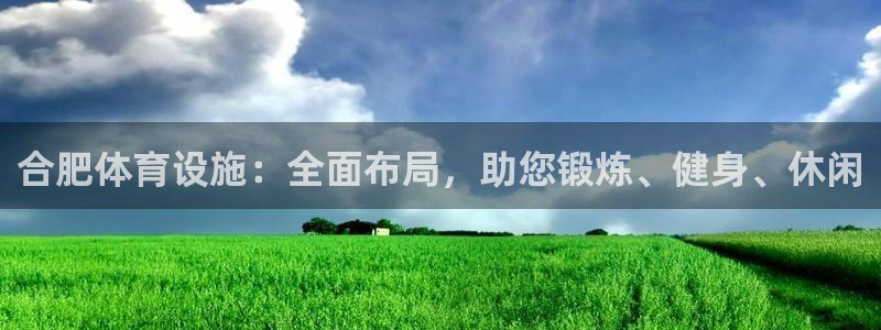 意昂4官方：合肥体育设施：全面布局，助您锻炼、健身、休闲