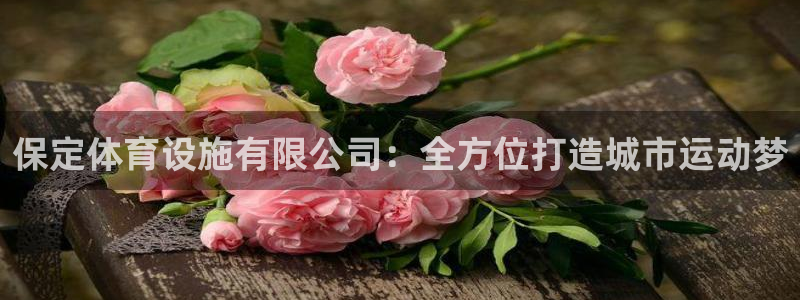 意昂体育4注册：保定体育设施有限公司：全方位打造城市运动梦