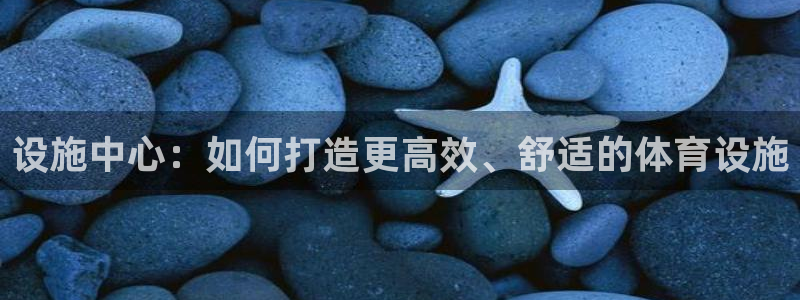 意昂体育4软件：设施中心：如何打造更高效、舒适的体育设施 