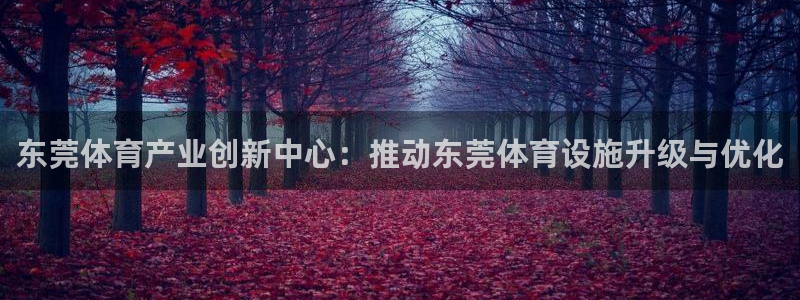 意昂平台体育：东莞体育产业创新中心：推动东莞体育设施