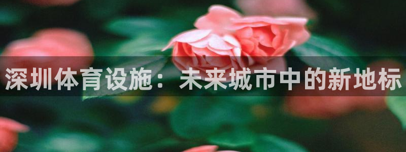 意昂集团官网：深圳体育设施：未来城市中的新地标