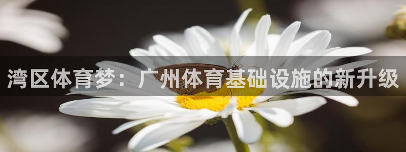 意昂体育4招商电话是多少：湾区体育梦：广州体育基础设