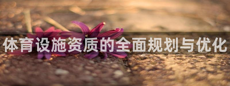 意昂4神州：体育设施资质的全面规划与优化