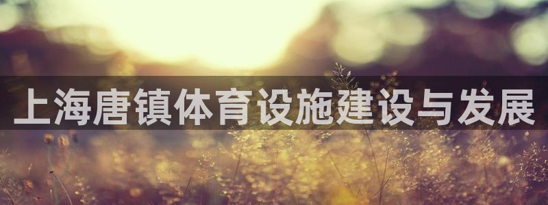 意昂体育4招商电话号码查询：上海唐镇体育设施建设与发