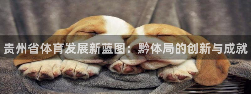意昂体育4是干嘛的公司：贵州省体育发展新蓝图：黔体局