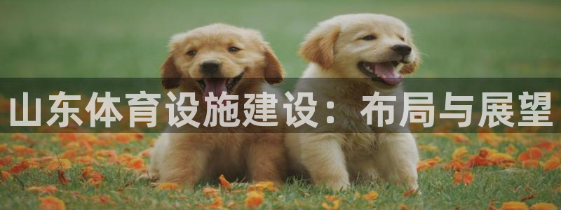 德国意昂4集团：山东体育设施建设：布局与展望