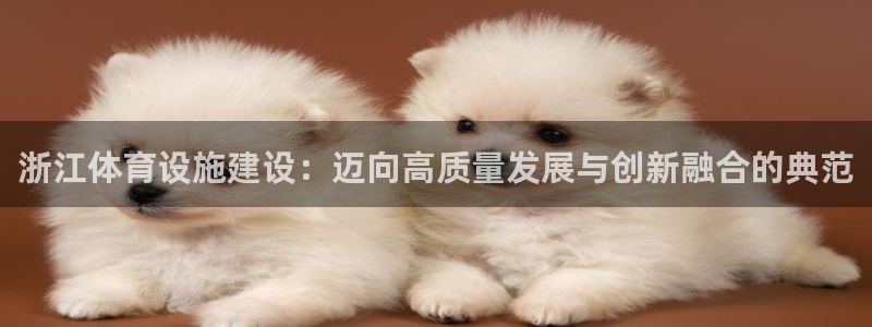 意昂4官方：浙江体育设施建设：迈向高质量发展与创新融