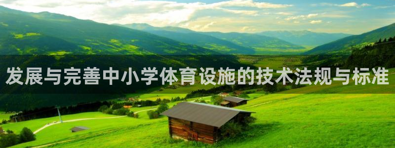 意昂4神州：发展与完善中小学体育设施的技术法规与标准