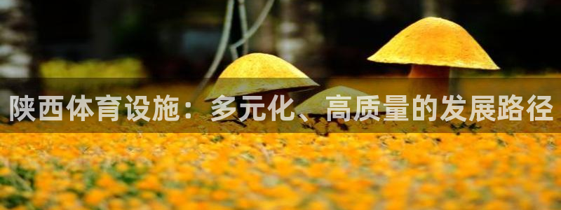 意昂4娱乐40996：陕西体育设施：多元化、高质量的