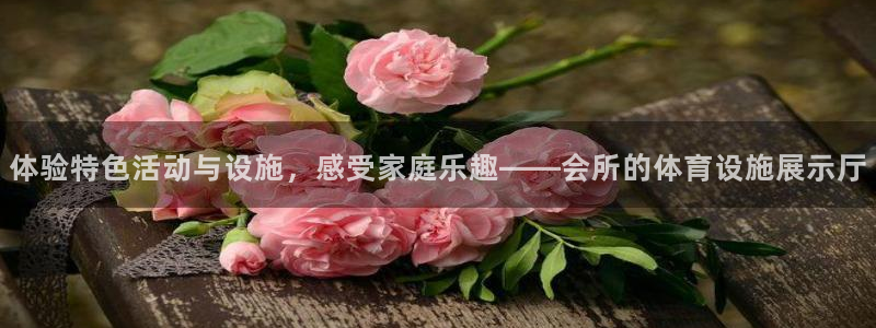 意昂体育4招商电话号码：体验特色活动与设施，感受家庭