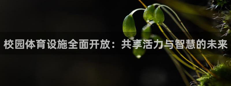 意昂体育4招商电话号码是多少号：校园体育设施全面开放