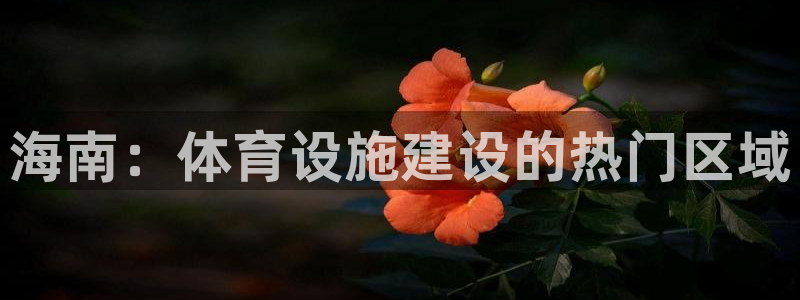 意昂体育4平台是正规平台吗安全吗：海南：体育设施建设