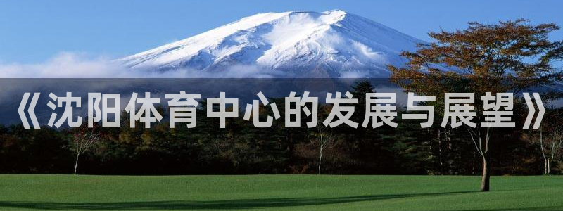 意昂体育4平台注册要钱吗：《沈阳体育中心的发展与展望》 