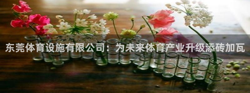 意昂体育4：东莞体育设施有限公司：为未来体育产业升级