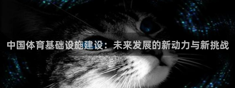 意昂4集团简介：中国体育基础设施建设：未来发展的新动