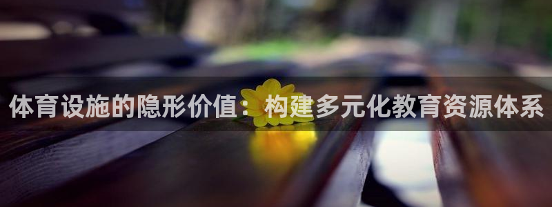 意昂体育4平台假的吗是真的吗：体育设施的隐形价值：构