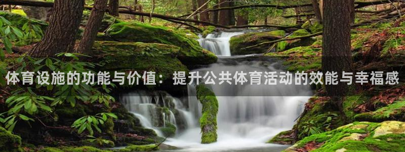 意昂体育4注册：体育设施的功能与价值：提升公共体育活