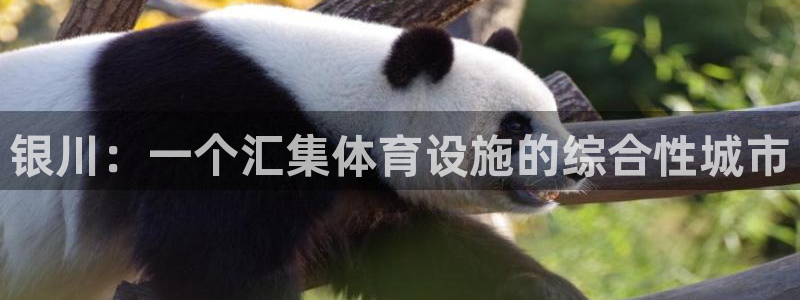意昂4集团：银川：一个汇集体育设施的综合性城市