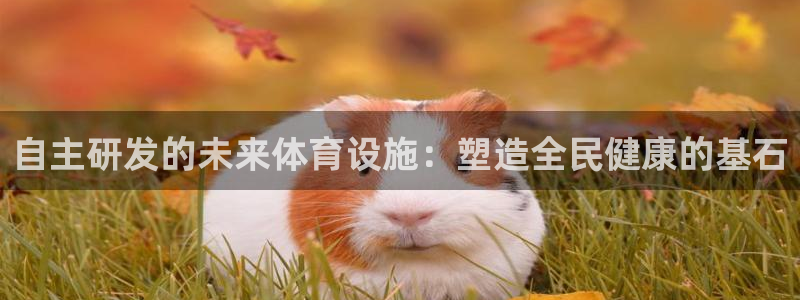 意昂4娱乐代理怎么样：自主研发的未来体育设施：塑造全
