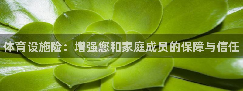 意昂4集团官网首页网址：体育设施险：增强您和家庭成员