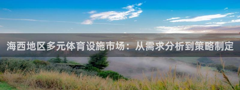 意昂体育4开户：海西地区多元体育设施市场：从需求分析
