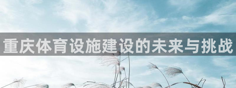 意昂体育4招商电话：重庆体育设施建设的未来与挑战