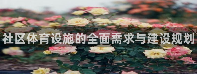 意昂4开户：社区体育设施的全面需求与建设规划