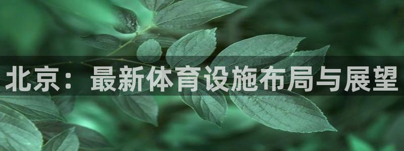 意昂体育4软件：北京：最新体育设施布局与展望
