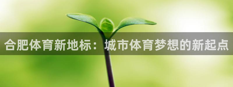 意昂体育4招商电话是多少啊：合肥体育新地标：城市体育