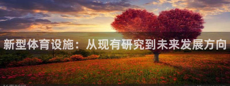 意昂体育4平台注册要钱吗：新型体育设施：从现有研究到