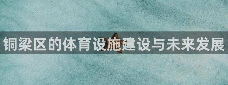 意昂体育4招商电话号码：铜梁区的体育设施建设与未来发