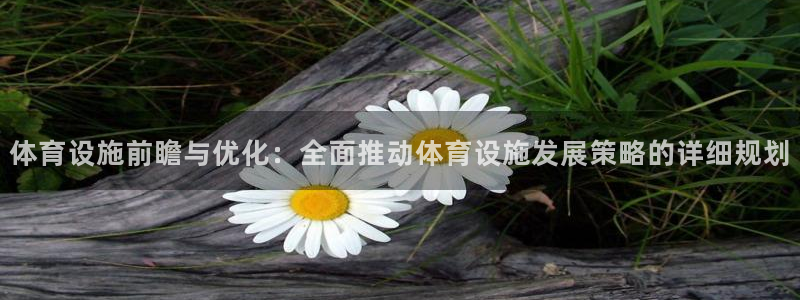 意昂体育4平台注册要钱吗是真的吗：体育设施前瞻与优化