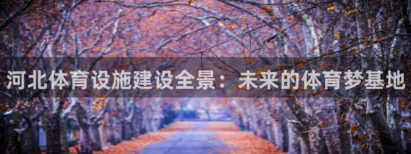海南意昂体育4发展怎么样：河北体育设施建设全景：未来