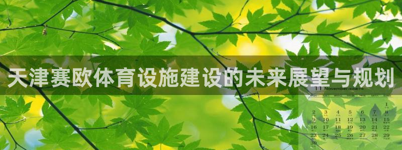 意昂体育4招商电话地址是多少：天津赛欧体育设施建设的未来展望